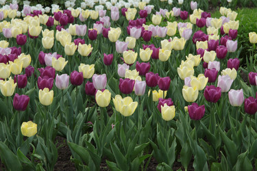 Similar image 1312084