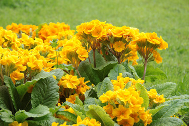 Similar image 1312088