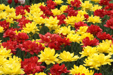 Similar image 1312092