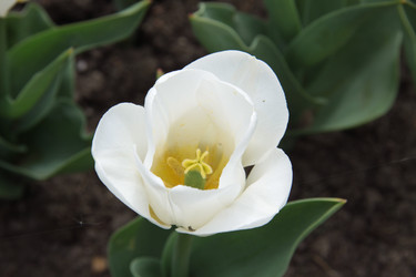 Similar image 1312094