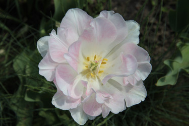 Similar image 1312097