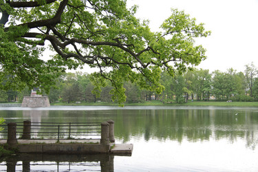 Similar image 1312115