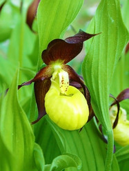 Similar image 1312126