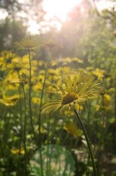 Similar image 1312127