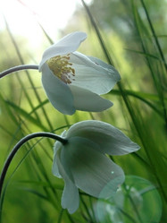 Similar image 1312128