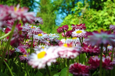 Similar image 1312129