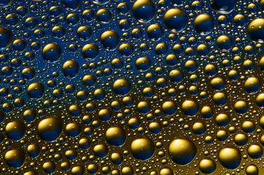 Similar image 1312158