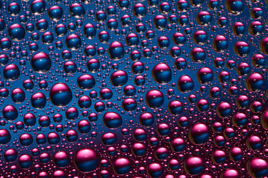 Similar image 1312159