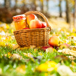 Similar image 1312304