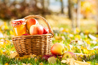 Similar image 1312306