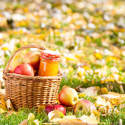 Similar image 1312331