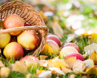 Similar image 1312347