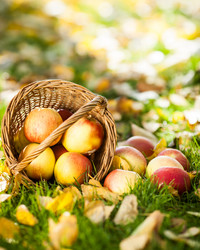 Similar image 1312349