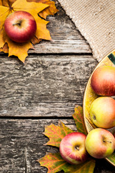 Similar image 1312364