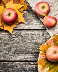 Similar image 1312366