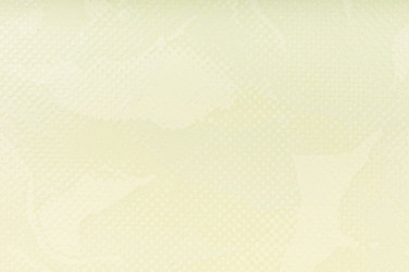 Similar image 1312423