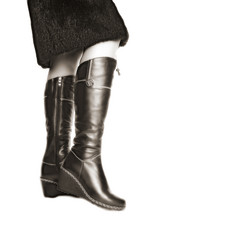 Similar image 1312445