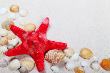 Similar image 1312493