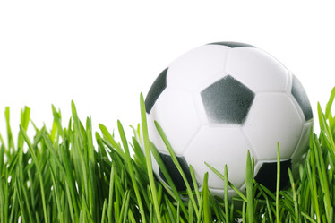 Similar image 1312495