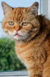 Similar image 1312505