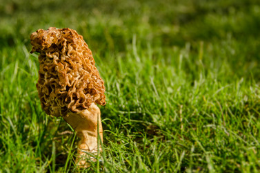 Similar image 1312513