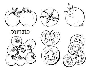 Similar image 1312529