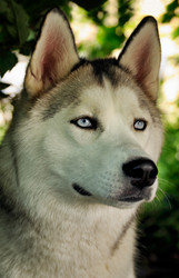 Similar image 1312542