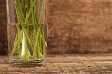 Similar image 1312547