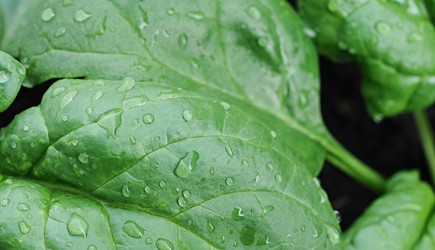 Similar image 1312563