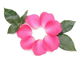 Similar image 1312586