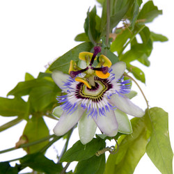 Similar image 1312607