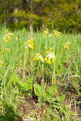 Similar image 1312623