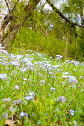 Similar image 1312634