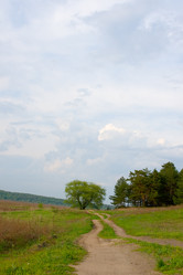 Similar image 1312635