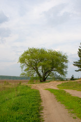 Similar image 1312636