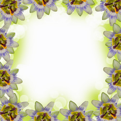 Similar image 1312654