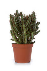 Similar image 1312674