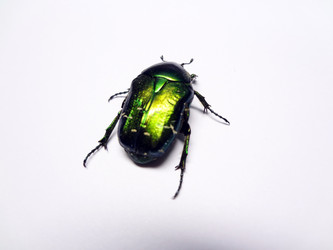 Similar image 1312844