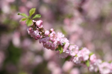 Similar image 1312858