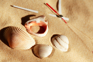 Similar image 1312899