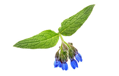 Similar image 1312901