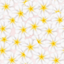 Similar image 1312906