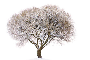 Similar image 1312940