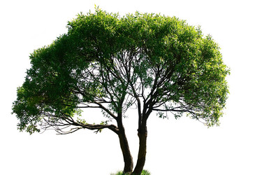 Similar image 1312944