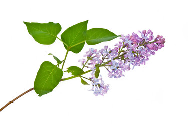 Similar image 1312946