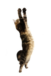 Similar image 1312947