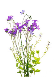 Similar image 1312948