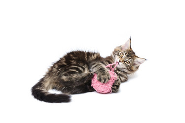 Similar image 1312949