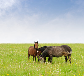 Similar image 1312950