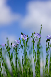 Similar image 1312951